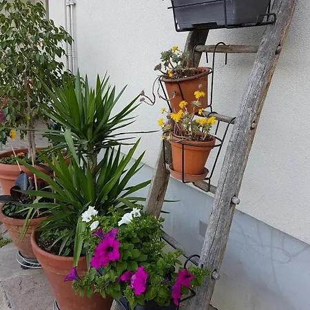 Nocleg ze śniadaniem Ai Due Vecchi Ulivi 3*