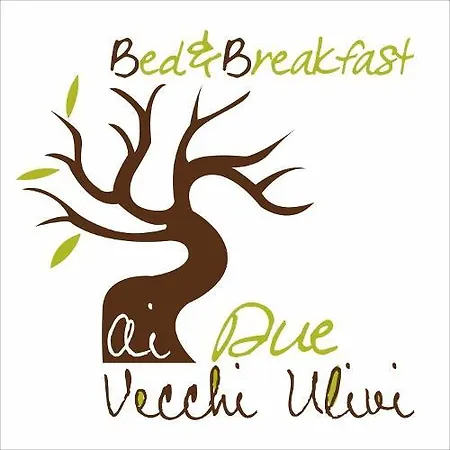 Ai Due Vecchi Ulivi