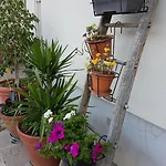 Frühstückspension Ai Due Vecchi Ulivi 3*