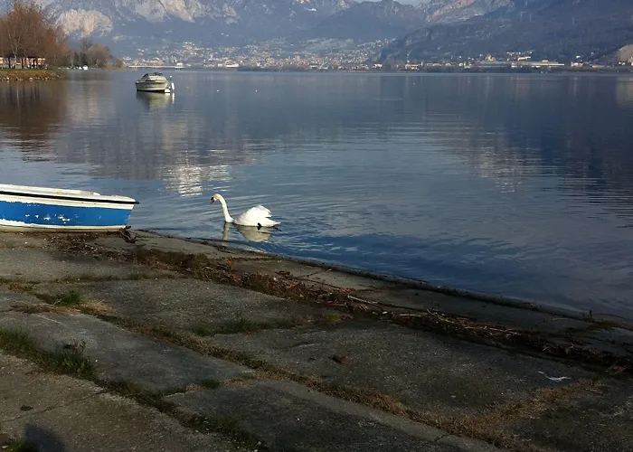 Ai Due Vecchi Ulivi Bed & Breakfast
