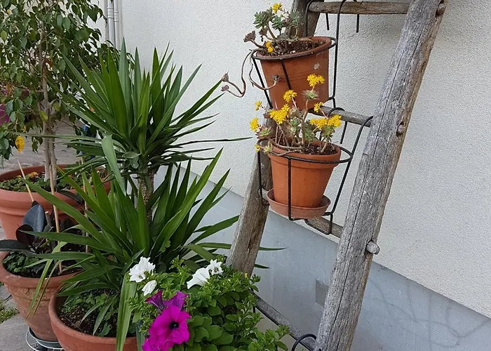 Bed & Breakfast Ai Due Vecchi Ulivi 3*