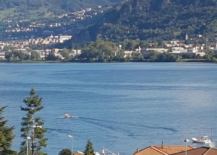 Ai Due Vecchi Ulivi